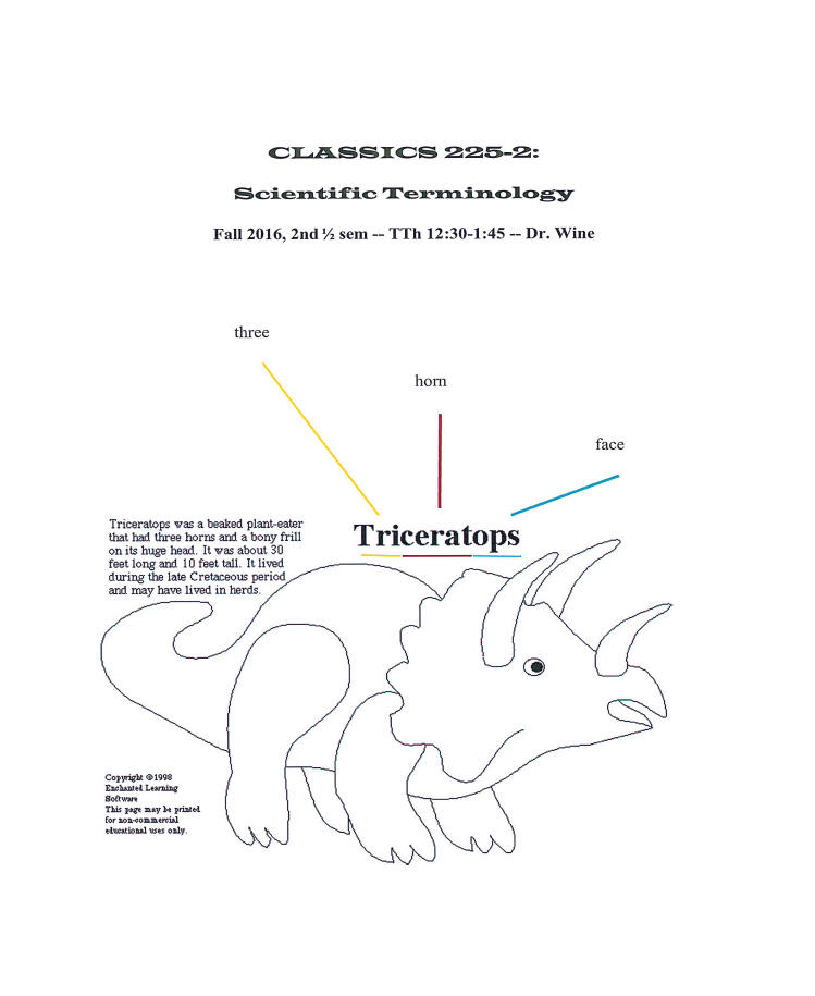 CLAS225 Medical Terminology Flyer